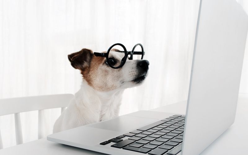 Microsoft Windows 7 Professional klucz: optymalizacja i bezpieczeństwo systemu